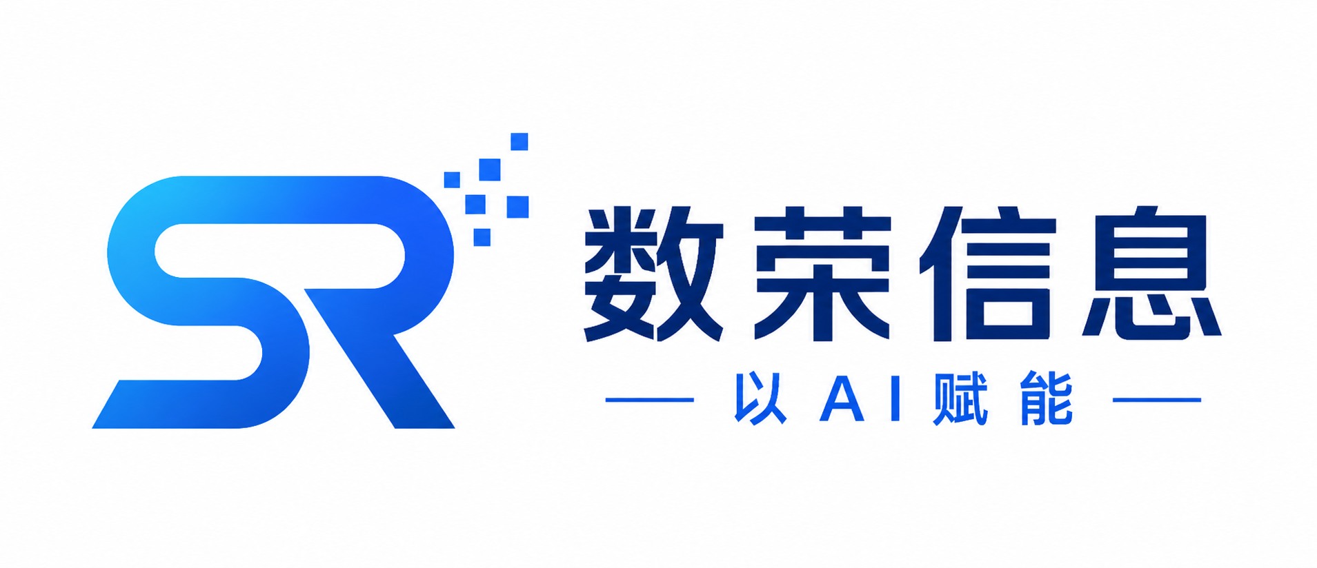 数荣信息